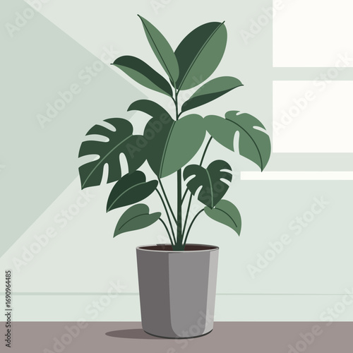 Potted monstera and fiddle leaf fig plants in a minimalist interior