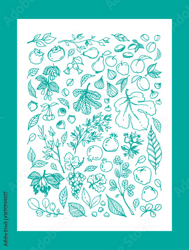 Vector green linear illustration of different Garden Fruits, leaves, tree branches