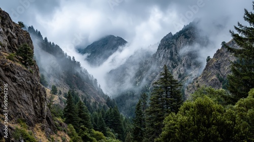 Majestic mountain valley surrounded by mist and evergreen trees in dramatic weather conditions