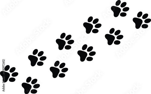 A striking black and white graphic illustration featuring a diagonal trail of animal paw prints