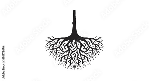 Intricate, dark tree roots spread out like a web against a clean white background, symbolizing growth and connection.