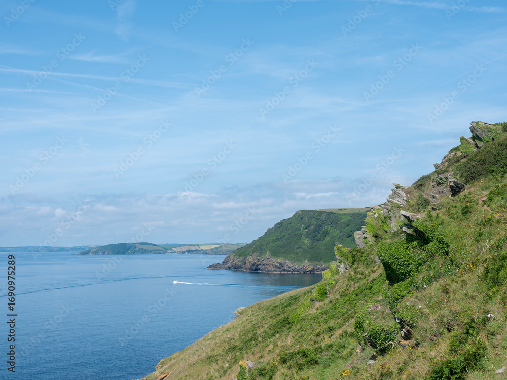 Fototapeta premium green cliffs at lantic bay in cornwall