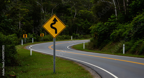 Road Curves and Winding Road Sign.