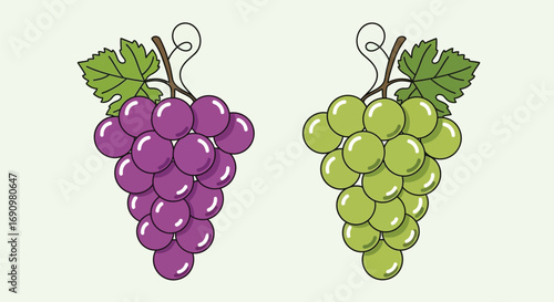 Illustration of Purple and Green Grapes with Leaves