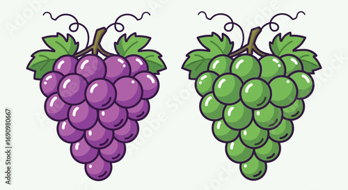Illustration of Purple and Green Grapes with Leaves