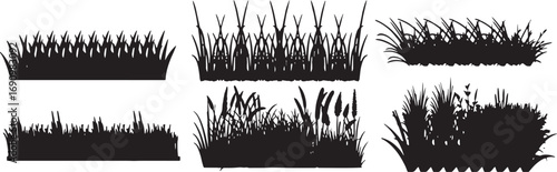 design, vector, silhouettes, reeds, illustration, grass