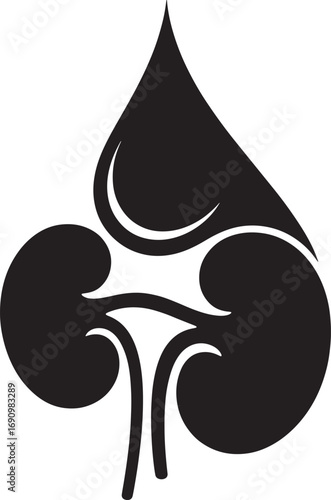 kidney health fluid balance and medical care Abstract symbol representing
