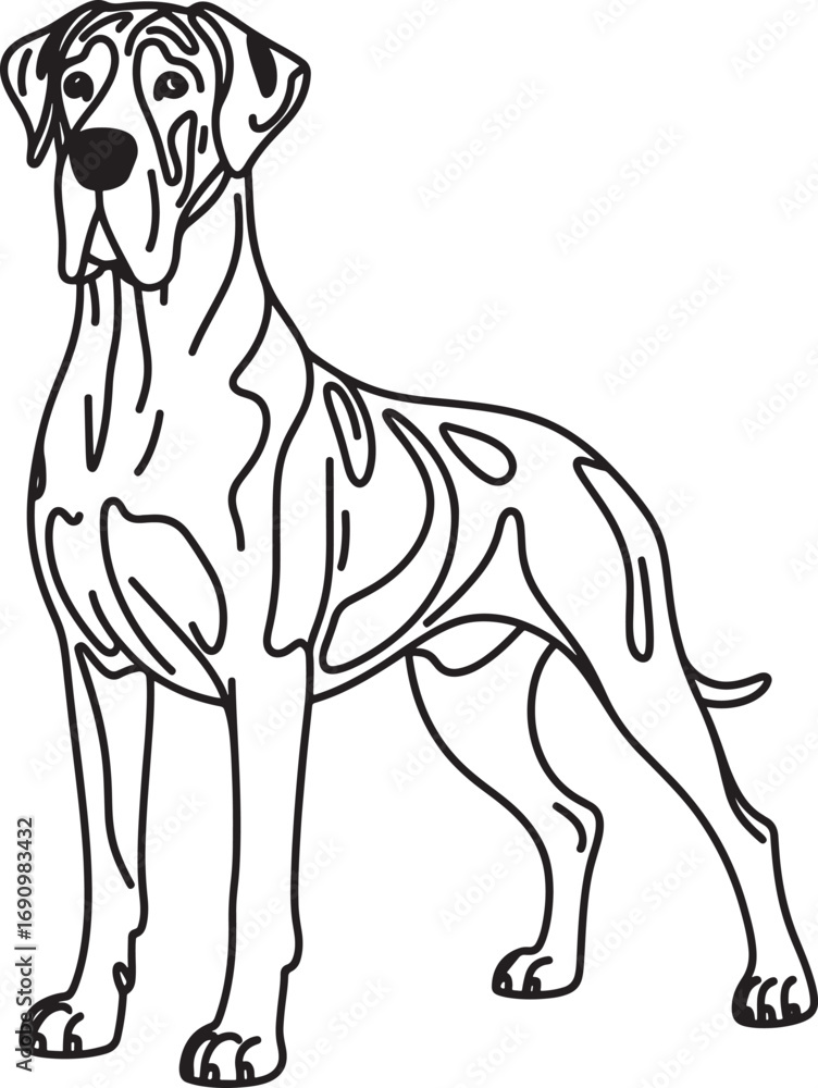 Obraz premium Majestic great dane standing tall with a serene and calm expression