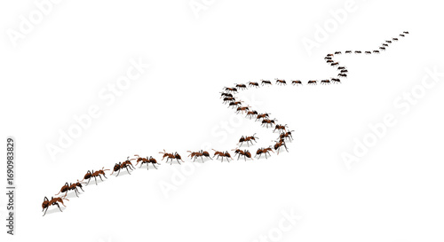 A long winding line of marching ants moving in a disciplined formation across a white background