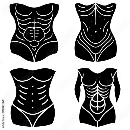 Illustration showing four stylized female torsos with abstract rib cage and abdominal muscle designs displayed