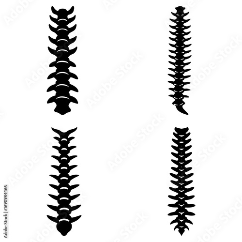 Illustration of four spinal columns with varying shapes and orientations in a black and white design
