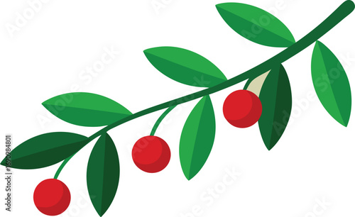 branch of cherry