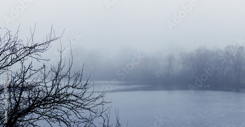 Foggy winter landscape with river and tree branches in foreground, atmospheric cold nature scene with minimalist mood for design and seasonal projects