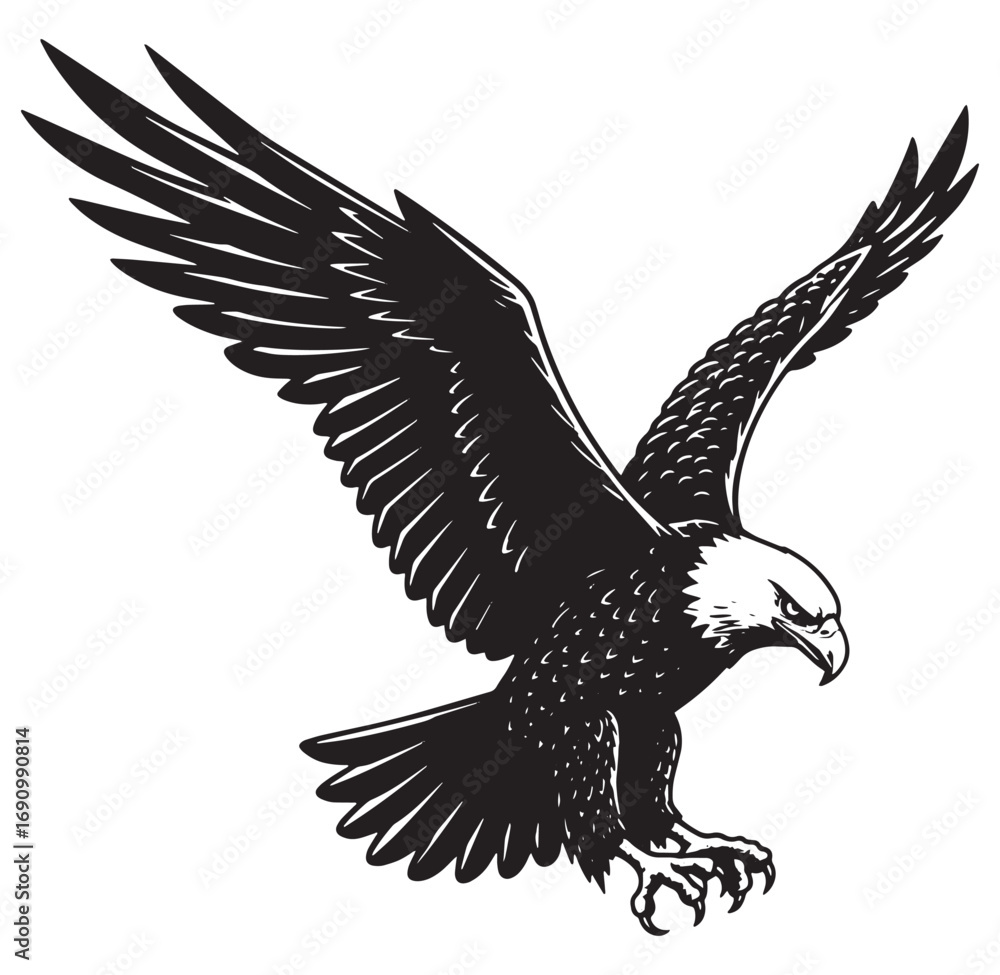 Fototapeta premium Powerful black and white american bald eagle with wings outstretched in flight