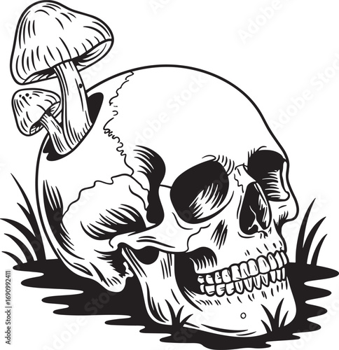 Mysterious skull with mushroom growing out of it artistic drawing