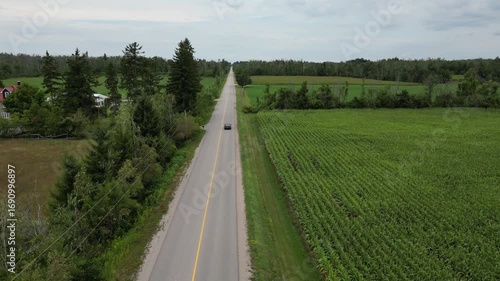 Aerial Drone footage of car driving along a rural road with green fields and trees
