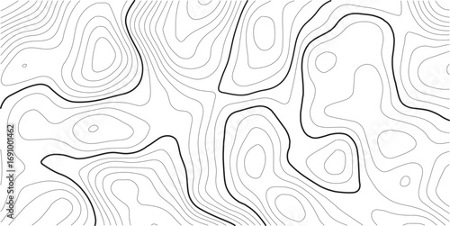 Travel and navigation, cartography design element. Vector illustration. Vector abstract Moon relief map. Generated conceptual lunar elevation map. Isolines of landscape surface elevation