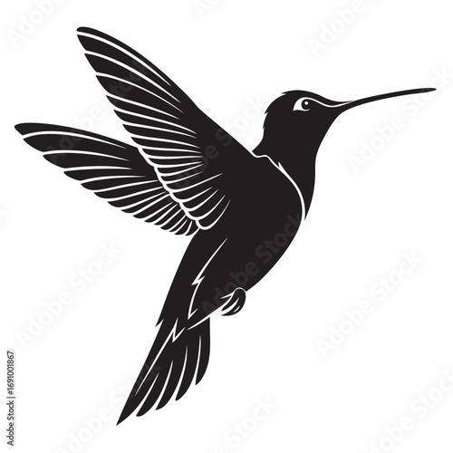 Hummingbird hovering