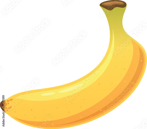 Ripe banana fruit vector illustration