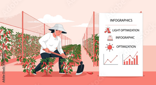 Infographic illustration of a farmer cultivating chili peppers in a greenhouse for optimal growth