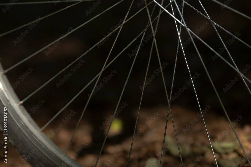 Fototapeta premium A detailed close-up shot of bicycle wheel spokes set against a blurred natural background. Perfect for cycling and outdoor themes.