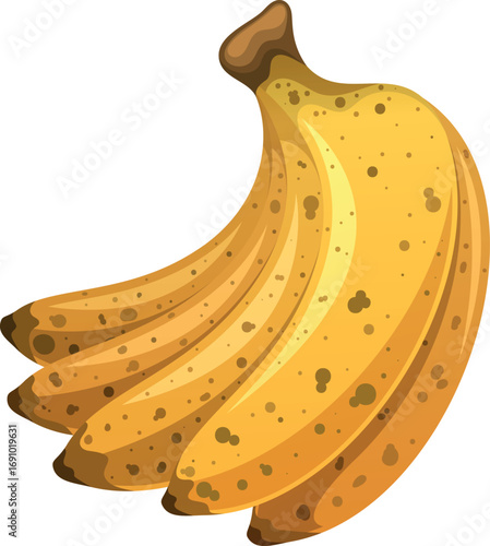 Ripe banana fruit bunch vector illustration
