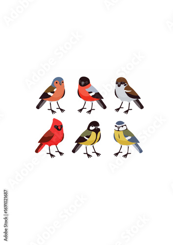 Vector set with cute little birds in cartoon style.ai