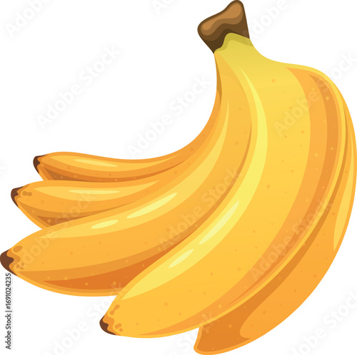 Banana sweet fruit bunch vector illustration