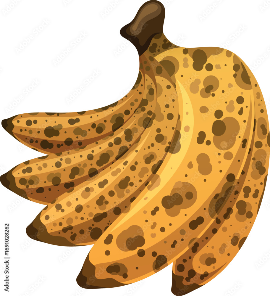 Fototapeta premium Overripe banana fruit bunch vector illustration