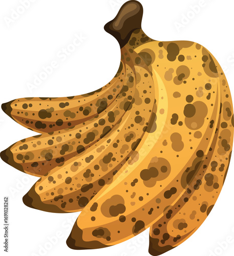 Overripe banana fruit bunch vector illustration