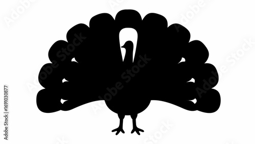 Silhouette of a peacock with its tail feathers fanned out in a display of plumage and elegance and beauty