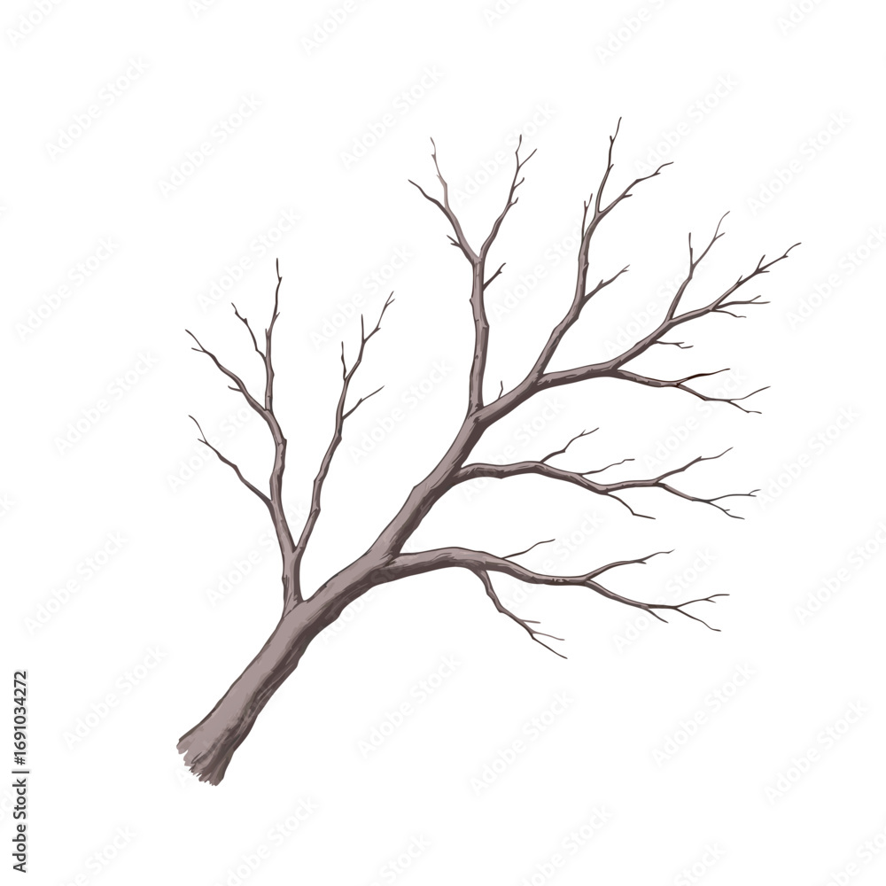 Fototapeta premium Bare Tree Branch Illustration with Detailed Texture and Branching Structure.