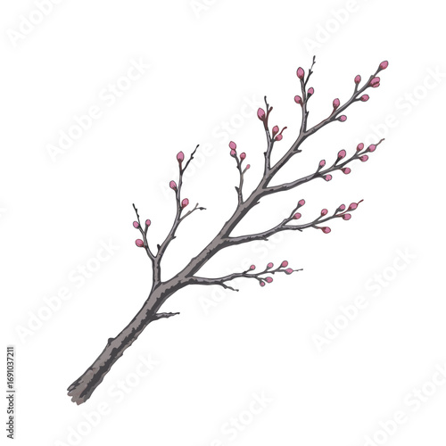 Delicate Branch with Pink Blossom Buds in Artistic Style.