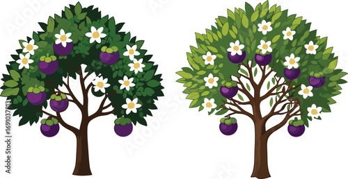 Purple fruit tree with green foliage, white flowers, seasonal botanical illustration, agricultural plant, flowering orchard, garden design, horticulture, farming, nature, harvest season vector art