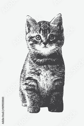 Cat  head in witch hat with collage element with retro grainy texture, halftone stipple effect for a grunge punk Y2K collage design