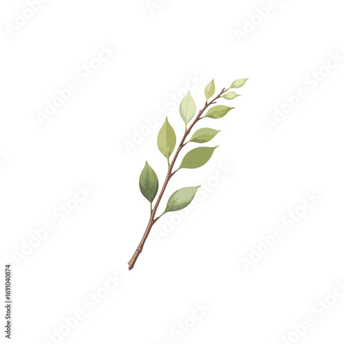 Elegant watercolor illustration of a delicate plant sprig with soft green leaves.