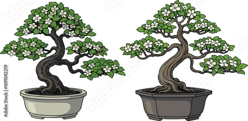 Two potted bonsai trees with twisted trunks, white flowers, green leaves, ornamental garden plants, botanical art, decorative indoor plant illustration, nature design set