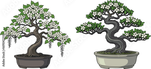 Two bonsai trees with twisted trunks, white flowers, green leaves, cascading blossoms, decorative potted plants, botanical art, ornamental garden illustration set