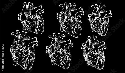 Set of Anatomically Correct Human Heart, Hand-Drawn Line Art and Dotwork Vector Illustration for Flash Tattoo or Vintage Print Design