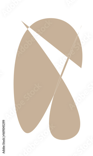 Abstract organic shapes in neutral tones, perfect for modern design, branding, and sophisticated visual communication, conveying a sense of calm and elegance.