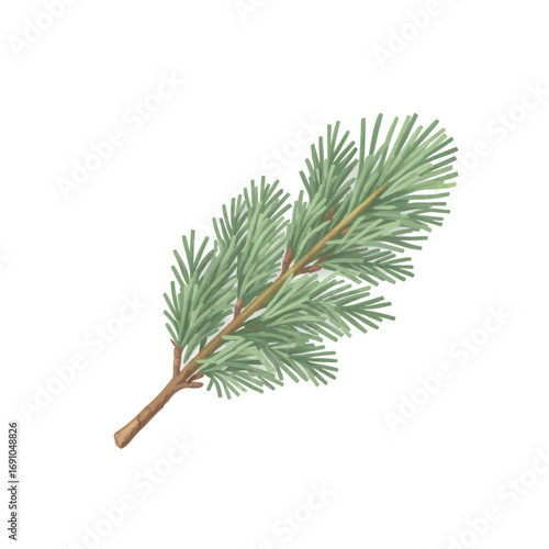 Watercolor Illustration of a Pine Branch with Green Needles 1.