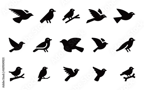 A variety of black solid vector icons of birds in different poses, including flying and perched, for nature and wildlife concepts.