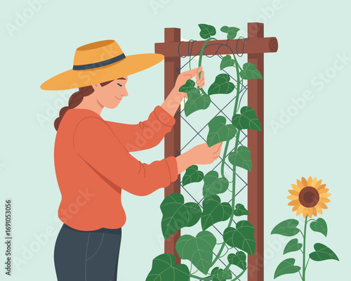 A woman in a sun hat carefully trains a climbing vine on a garden trellis, flat vector illustration