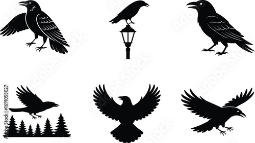 Crow and raven silhouettes, flying and perched birds, spooky black bird vector illustration, gothic design, nature wildlife, cemetery theme, dark mysterious atmosphere