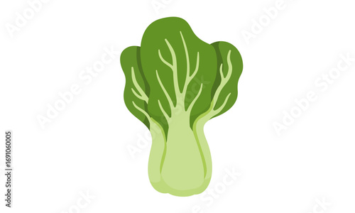 Close-up of a vibrant green bok choy head, showcasing its leafy texture and stem.