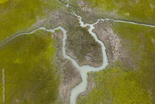 Narrow channels meander through a beautiful salt marsh on Cape Cod, Massachusetts. These natural carbon sinks are sheltered nurseries for wildlife and act as a buffer against storms and waves.