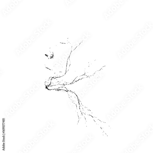 Black and white abstract vein pattern design for medical illustration and anatomical study resource material