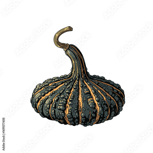 A textured ornamental gourd with a distinctive curved stem and ribbed dark skin