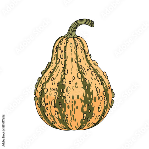 A detailed illustration of a gourds with yellow and green stripes and bumpy texture