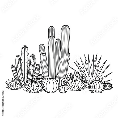 A desert landscape featuring various cacti and succulents in a stylized drawing